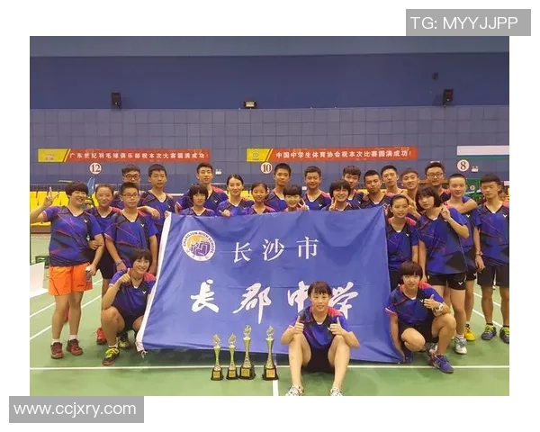 南京羽毛球队个人能力分析与发展策略探讨