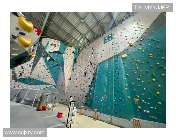 上海攀岩队个人能力提升之路：探索攀岩技巧与心理素质的结合