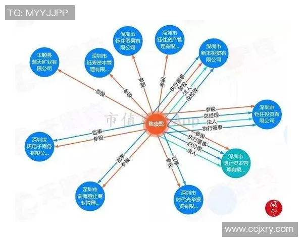 深入分析上海篮球队与深圳篮球队的实力对比与赛后复盘