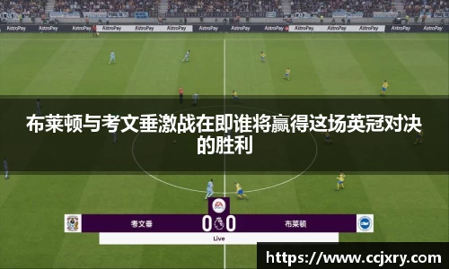 MK体育国际