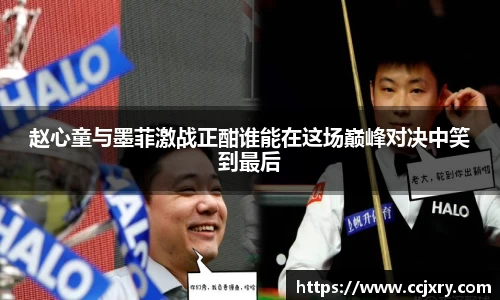 MK体育在线官网